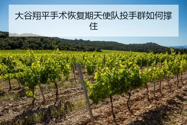 大谷翔平手术恢复期天使队投手群如何撑住